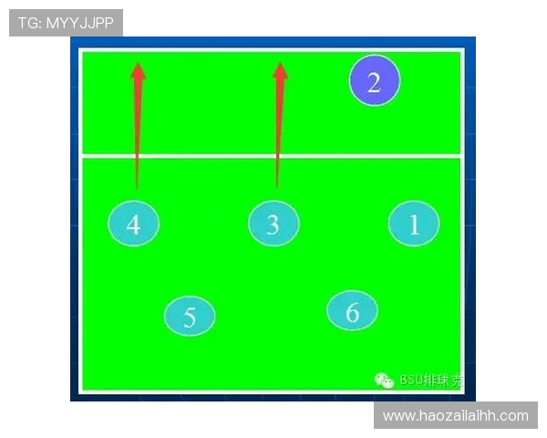 成都排球队的战术演变与球员转型深度分析