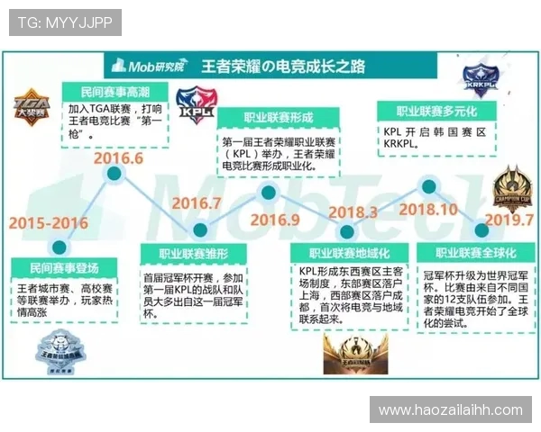 杭州排球队的成长之路挑战赛背后的奋斗与荣耀故事