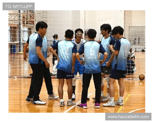 武汉排球队的节奏与韧性探索：排球运动中的拼搏与团结精神