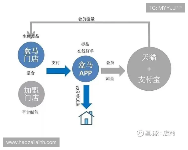 深度分析深圳篮球队运营策略与市场推广的成功之道 深度分析深圳篮球队运营策略与市场推广的成功之道