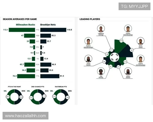 NBA篮网与国王对决前瞻分析及胜负预测解析
