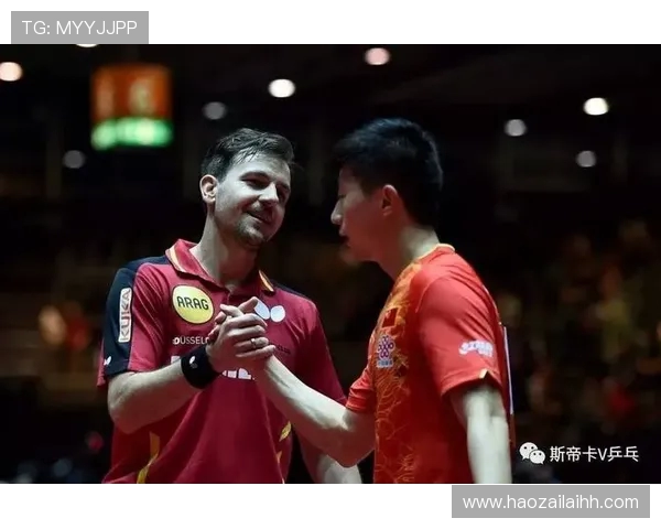 西雅图与圣何塞激战在即谁将赢得这场精彩对决