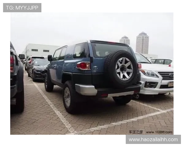 北京乒乓球队以91分稳居洲际杯积分榜首位展现强劲实力