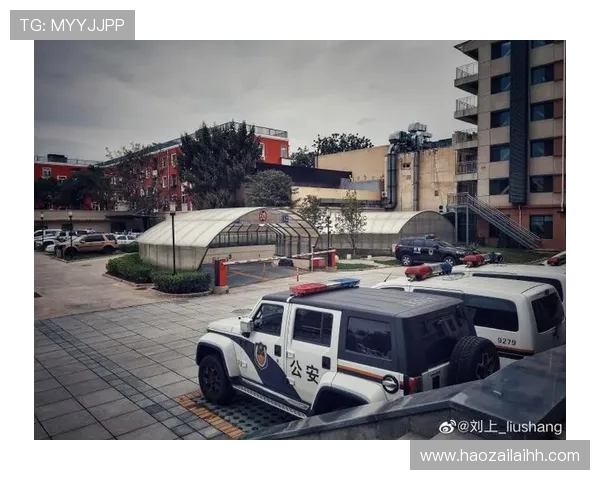 杭州极限运动队战术解析与控制打法的深度剖析